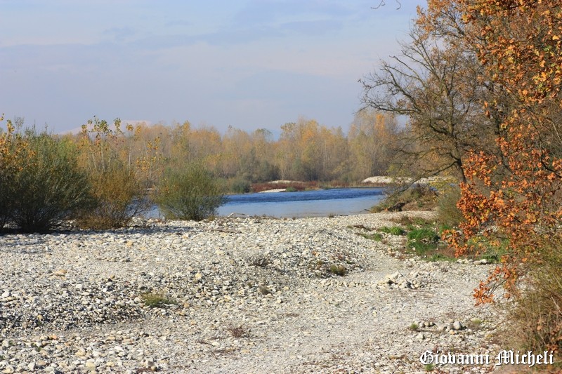 Parco del Ticino 11.11.17